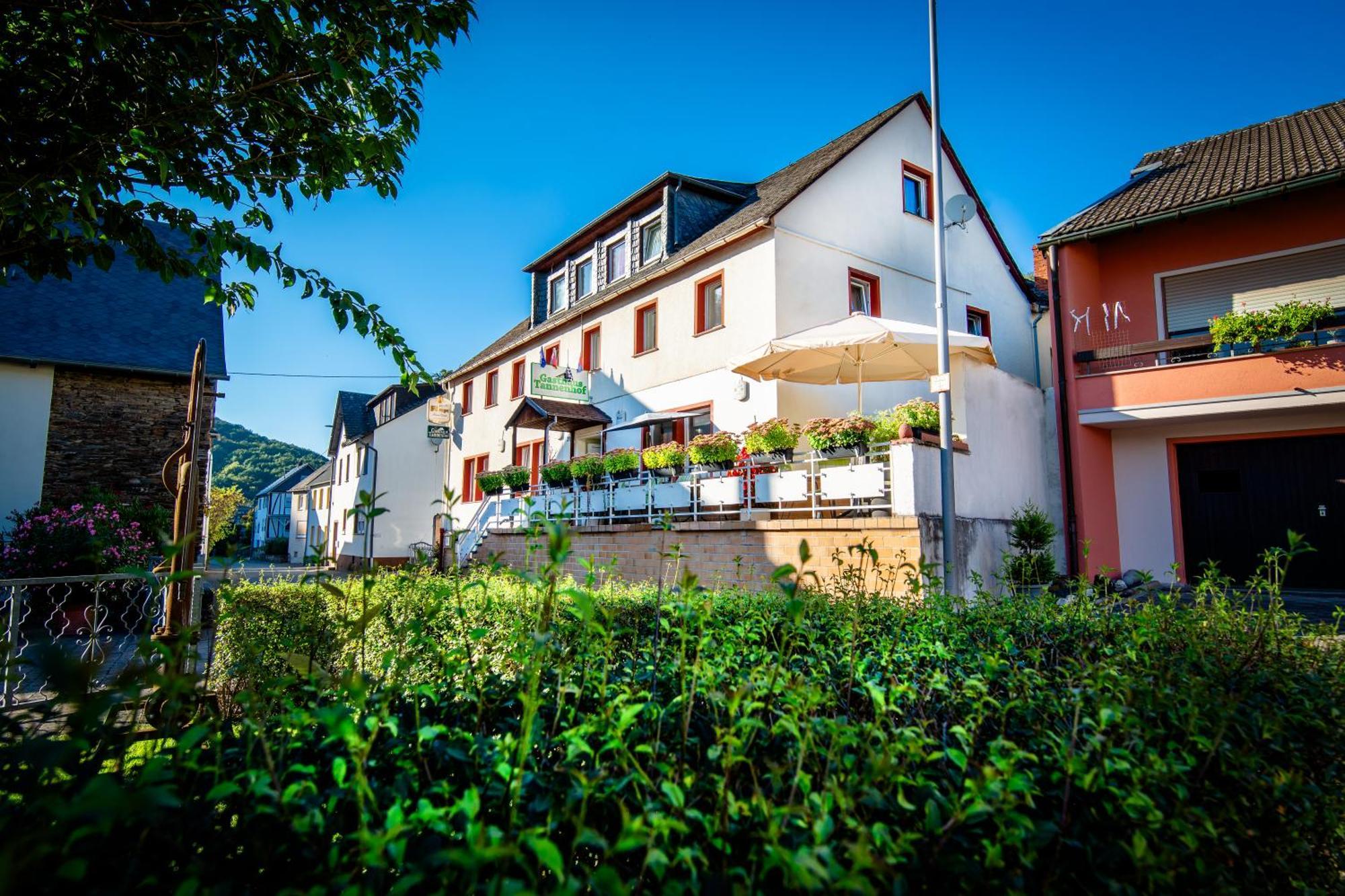 กาสท์เฮาส์ ทันเนนโฮฟ Hotel Lutz ภายนอก รูปภาพ